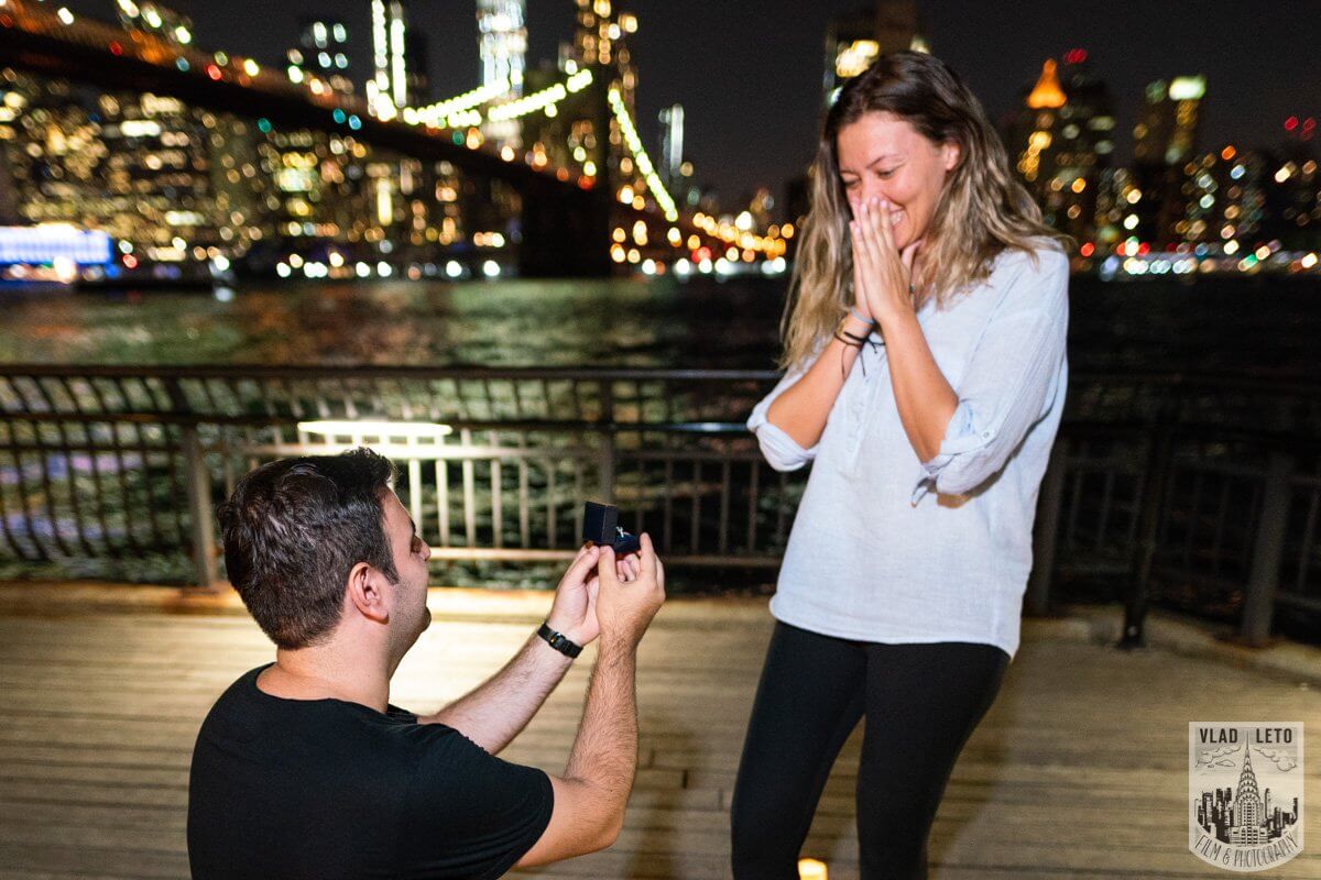 Dumbo Park proposal