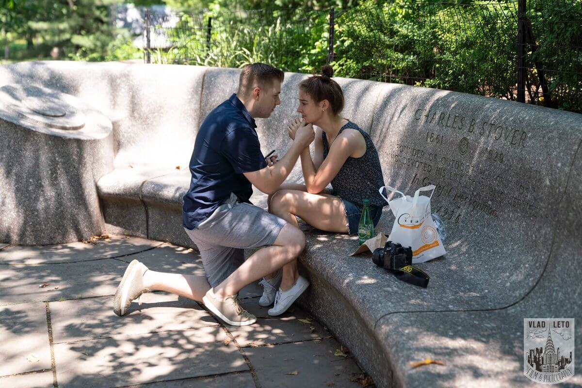 Shakespeare Garden Proposal in Central Park.