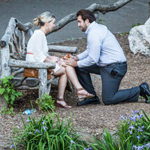 Central Park's Bow Bridge Proposal (Drew and Lauren)