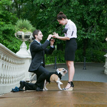 Bow Bridge Wedding Proposal (A Special Place)