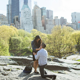 Central Park the Rock proposal