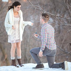 Central Park Winter Proposal. February 2015