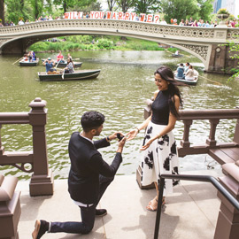 Bow Bridge view proposal in Central Park