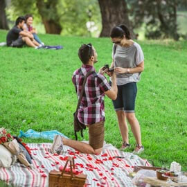 Picnic Proposal in Central Park