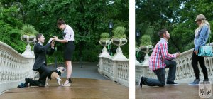 Surprise Proposal in Central Park Bow bridge