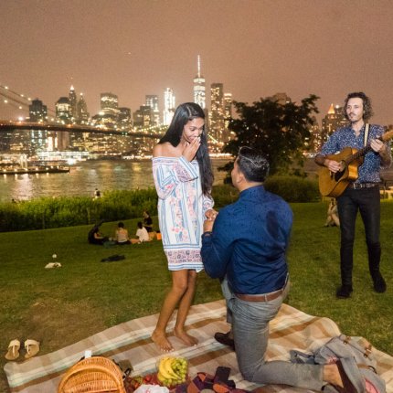 Brooklyn Bridge Picnic Proposal