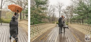 Best Places to propose in Central Park - Pinebank Arch