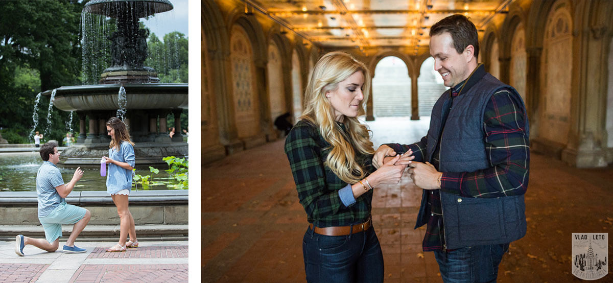 Bethesda Terrace and Fountain Proposal. in Central Park