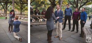 The Cop Cot Proposal in Central Park