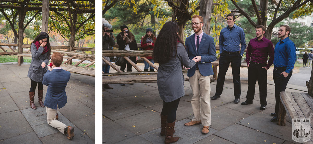 The Cop Cot Proposal in Central Park