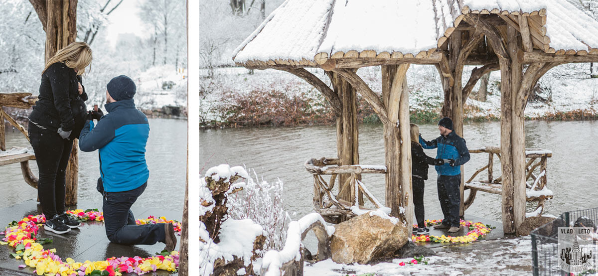 Proposal in Wagner Cove in Central Park.