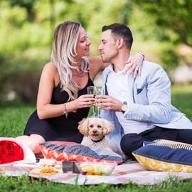 Central Park Picnic Proposal