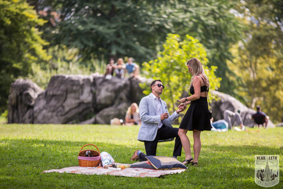 Picnic proposal in Central Park, NYC.