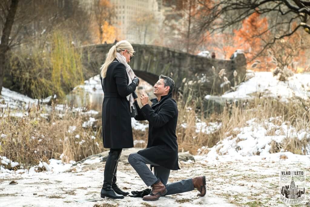 Central park gapstow bridge proposal. photo by Vlad Leto