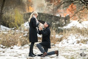 Central park gapstow bridge proposal. photo by Vlad Leto