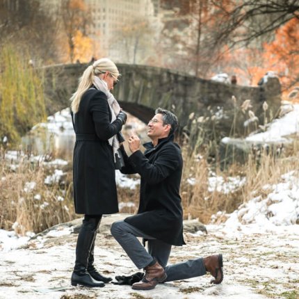 Central park gapstow bridge proposal. photo by Vlad Leto Central park gapstow bridge proposal. photo by Vlad Leto