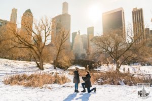 Photo of marriage proposal under Gapstow bridge