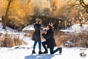 Gapstow bridge proposal photographer Vlad Leto
