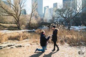 Central Park proposal photographer