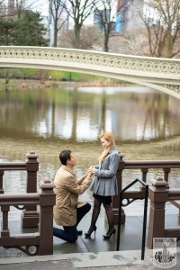 Proposing in central park