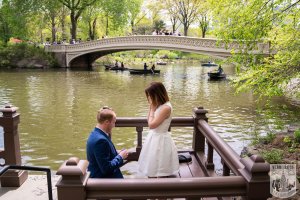 Bow bridge view proposal in central park