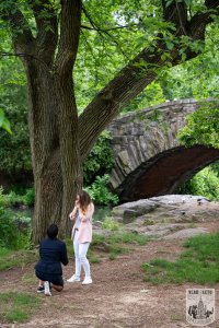 Same Sex Proposal in Central Parks