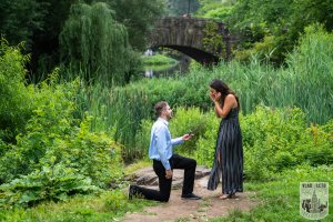 Proposal in Central park