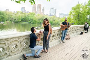 Central Park Proposal on Bow Bridge