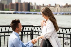 proposal on brooklyn bridge park