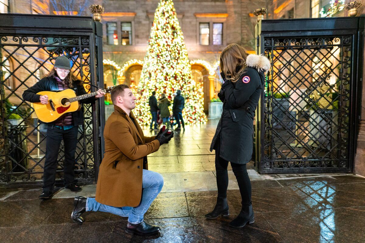 Lotte Palace Christmas Tree Proposal.