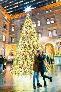 Lotte Palace Christmas Tree Proposal.