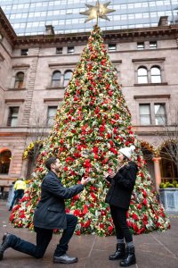 Marriage Proposal at The Lotte Palace Hotel Christmas Tree