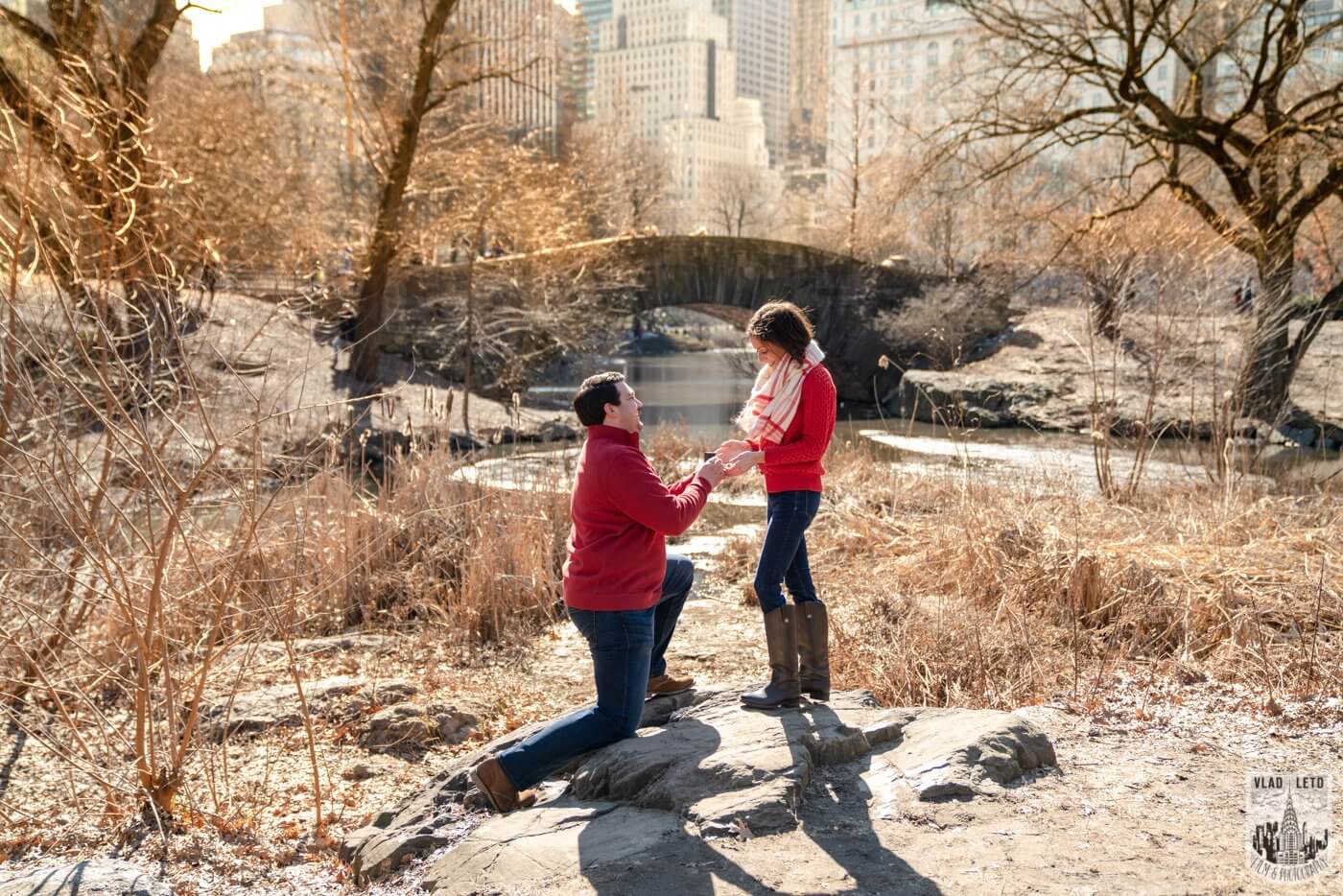 Gapstow Bridge Marriage Proposal In Central Park Vladleto