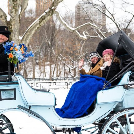 Same sex couple proposal at Cherry Hill in Central Park