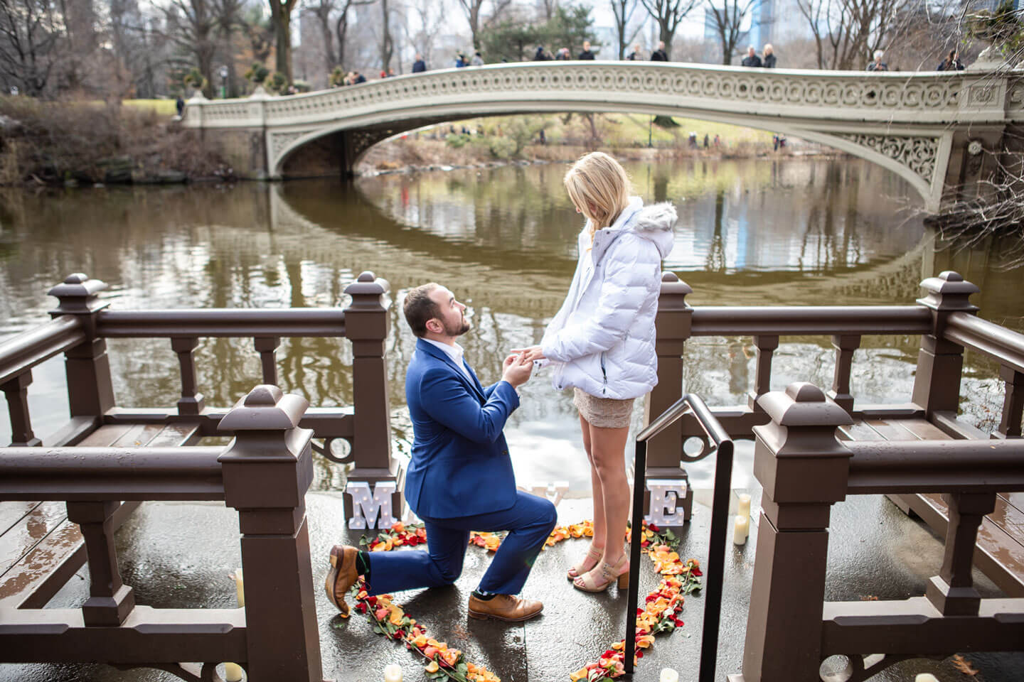 Marriage Proposal Ideas In New York City Vladleto