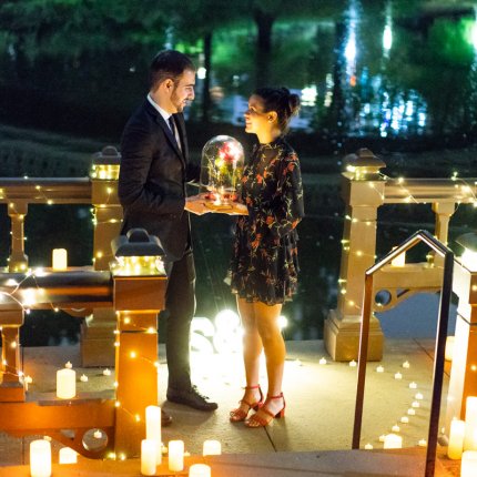 Disney themed marriage proposal