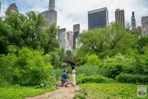 Proposal ideas in NYC
