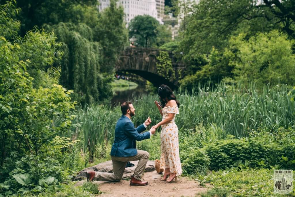 Best Proposal spots in Central Park, Gapstaw bridge