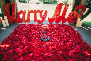 Disney Themed Proposal New York