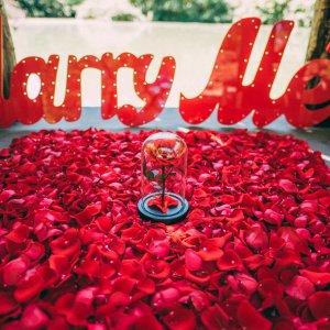 Disney Themed Proposal New York