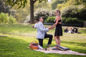 Picnic Proposal in New York