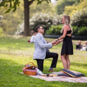 Picnic Proposal in New York
