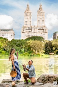 Best Central Park proposal ideas