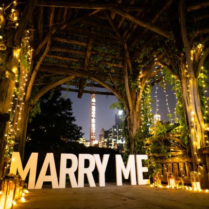 Introducing a new Central Park Premium Proposal package.