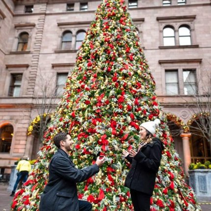 Christmas Proposal in New York