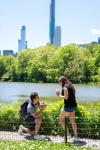 Central Park covid 19 proposal