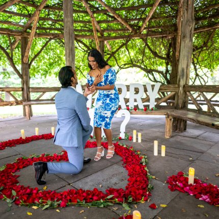 Introducing a new Premium Flowers Proposal design in Central Park Introducing a new Premium Flowers Proposal design in Central Park