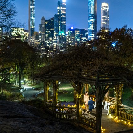Premium Light the Night in Central Park.