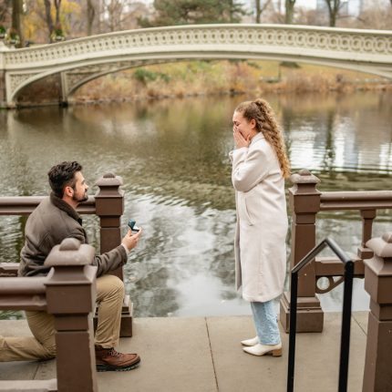 Do You Need a Professional Proposal Photographer in New York City?