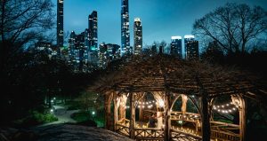 central park gazebo proposal photoshoot by Vlad Leto